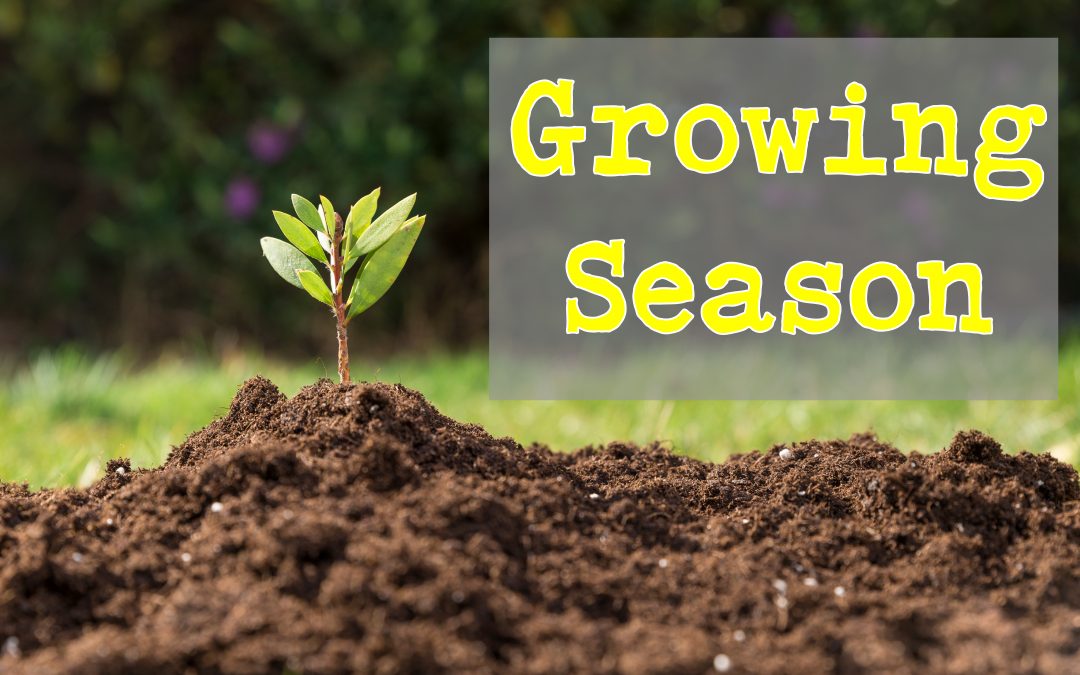 Growing Season – Knowledge & Discernment | July 22 | Pastor Becky Lee